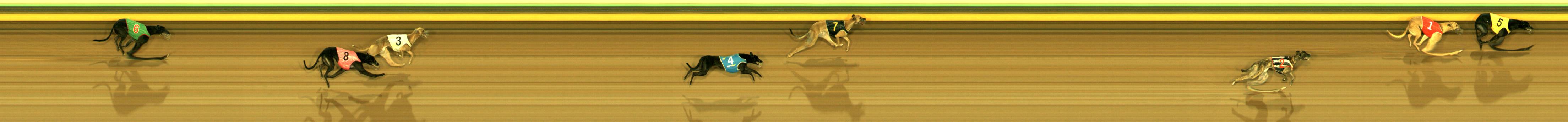 Race result finish photo